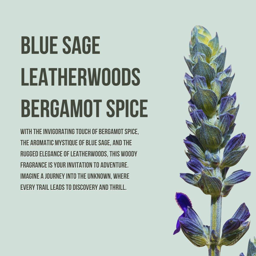 BODY LOTION AND MIST SET- COME FIND ME